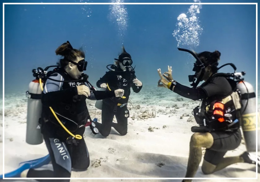 INTRO ponory ze Sharm El Sheikh — výlet z Sharm El Sheikh