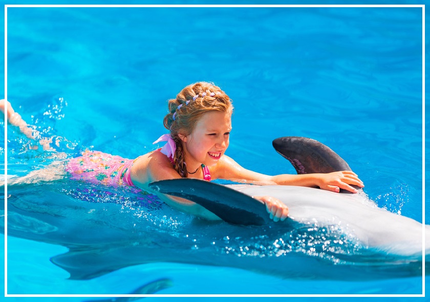 Plavání s delfíny - Sharm El Sheikh — výlet z Sharm El Sheikh