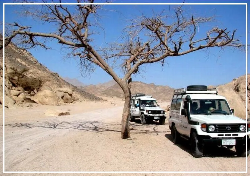 Jeep Safari ze Safagy — výlet z Safaga